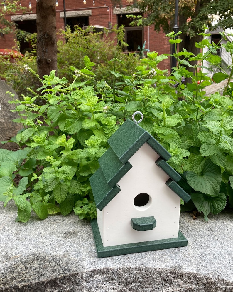 Traditional Eco-Friendly Poly Birdhouse, White with Green Roof image 1