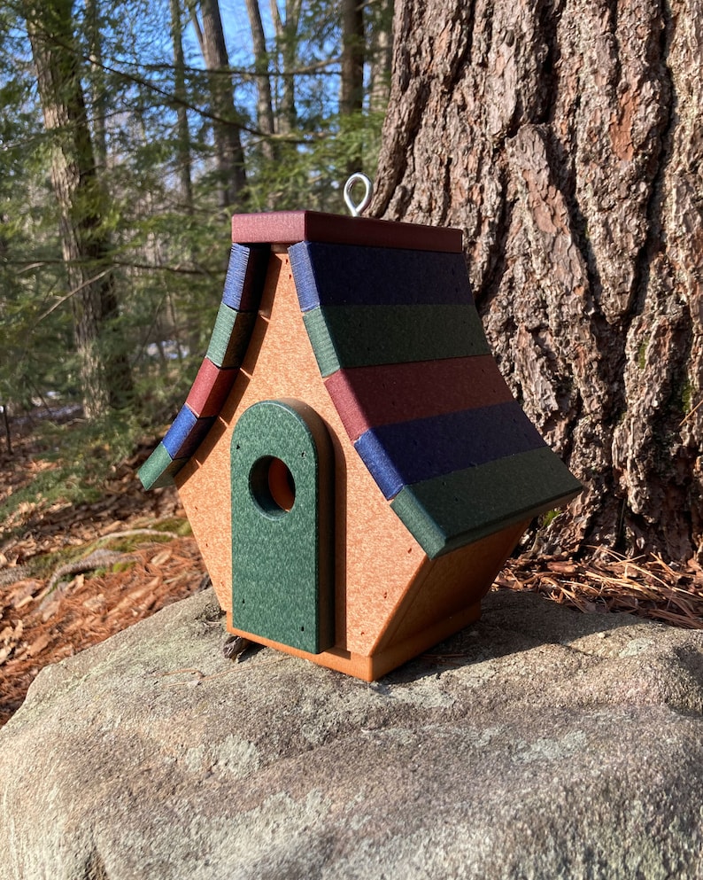 Op de afbeelding: Een houten vogelhuisje met een groen, rood en blauw gestreept dak. Het vogelhuisje heeft een klein, rond toegangsgat en een groene deur.