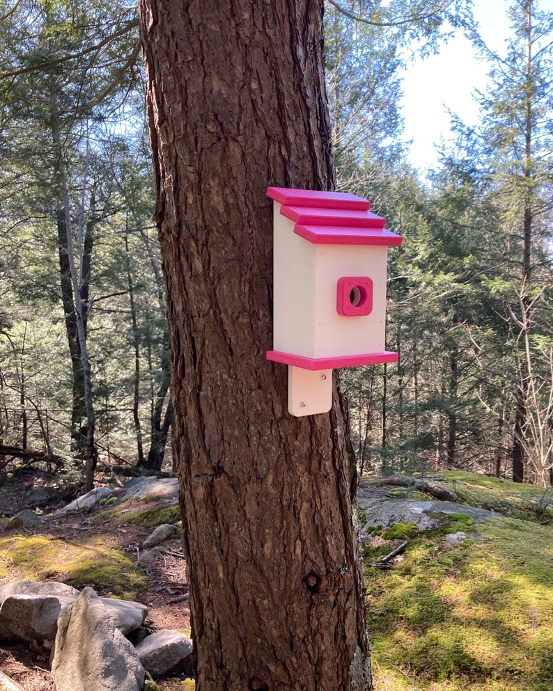 Square Back-Mount Birdhouse, White with Pink Roof image 1