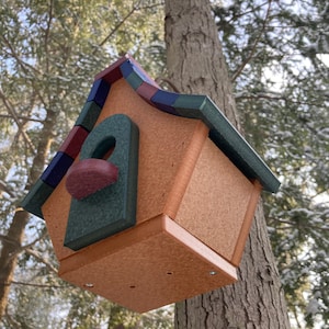 Op de afbeelding: Een houten vogelhuisje met een groen dak en een rode, blauwe en groene gedetailleerde rand. Het vogelhuisje hangt aan een tak.