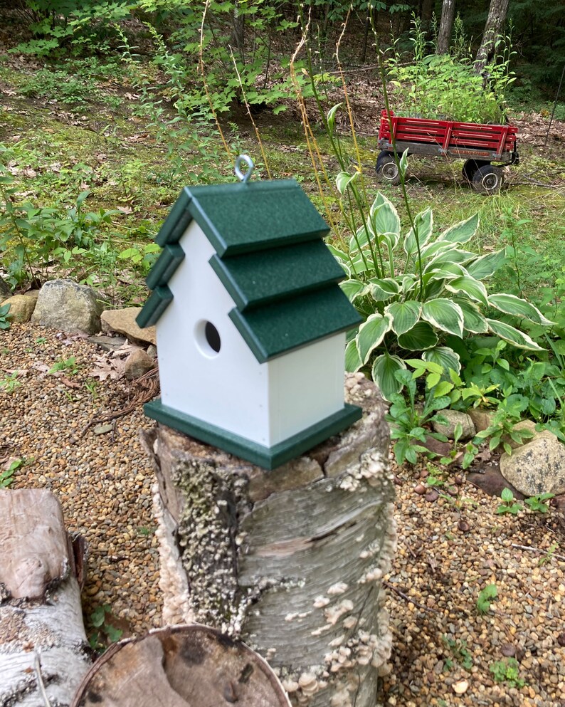 Traditional Eco-Friendly Poly Birdhouse, White with Green Roof image 9