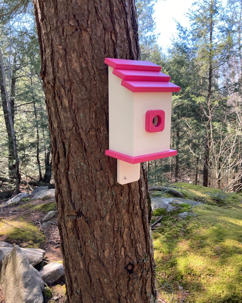 Square Back-Mount Birdhouse, White with Pink Roof image 8