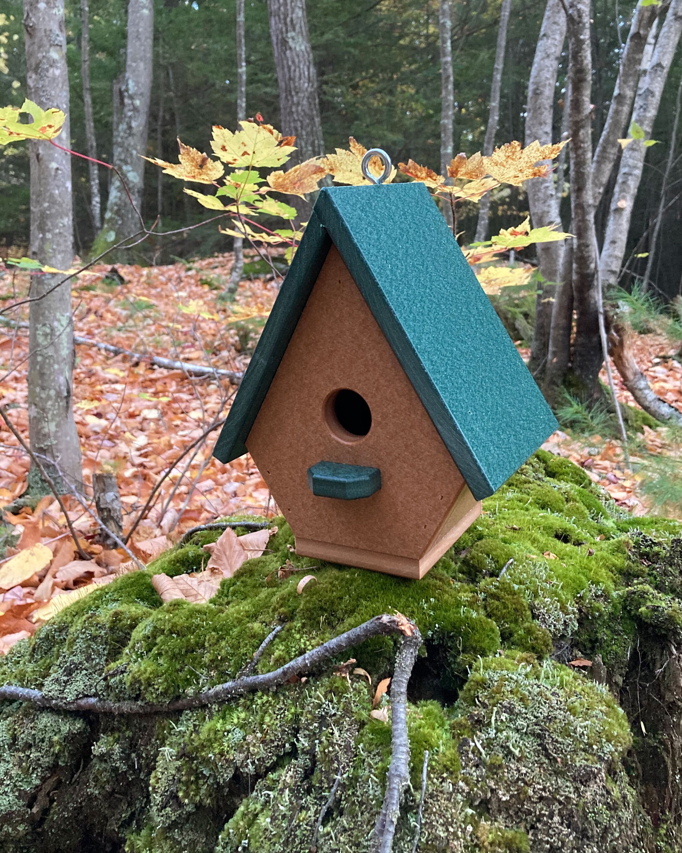 Classic Wren Poly Birdhouse Cedar With Green Roof Etsy