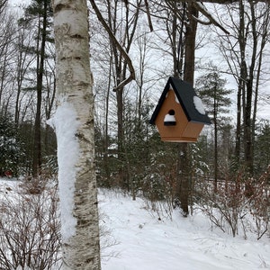 Classic Wren Poly Birdhouse, Cedar with Black Roof image 5