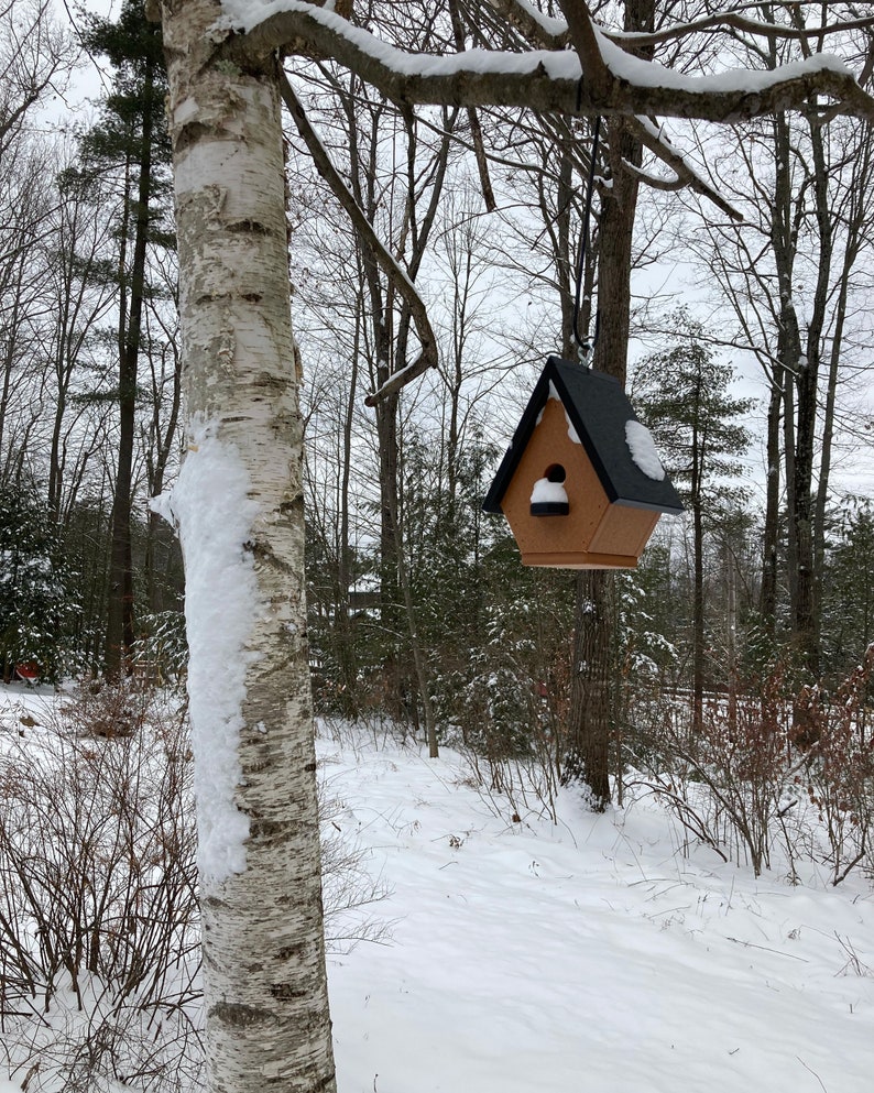 Classic Wren Poly Birdhouse, Cedar with Black Roof image 5