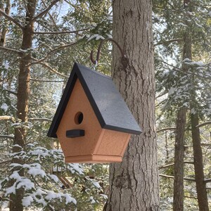 Classic Wren Poly Birdhouse, Cedar with Black Roof image 7