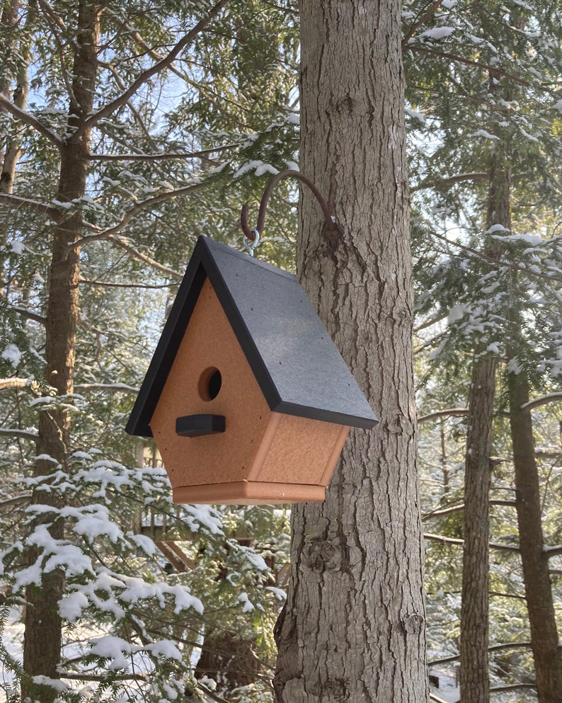 Classic Wren Poly Birdhouse, Cedar with Black Roof image 7