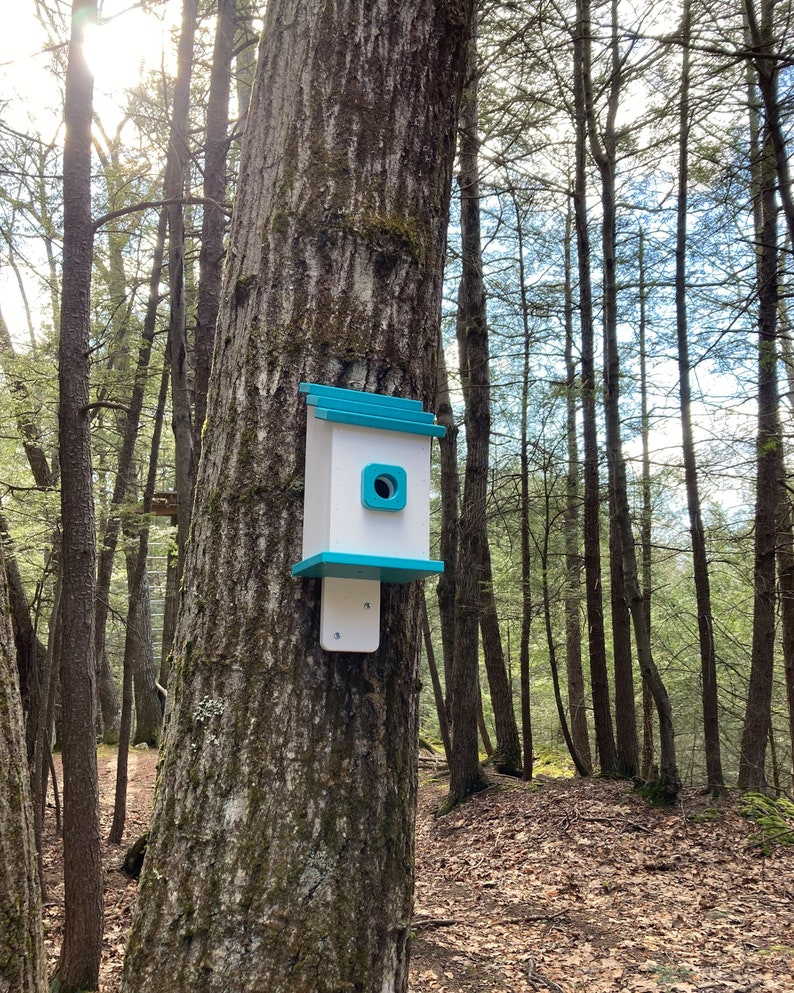 Square Back-Mount Birdhouse, White with Aqua Roof image 1