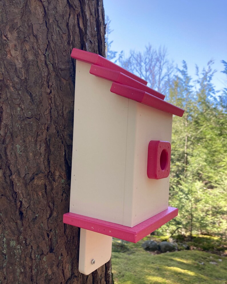 Square Back-Mount Birdhouse, White with Pink Roof image 6