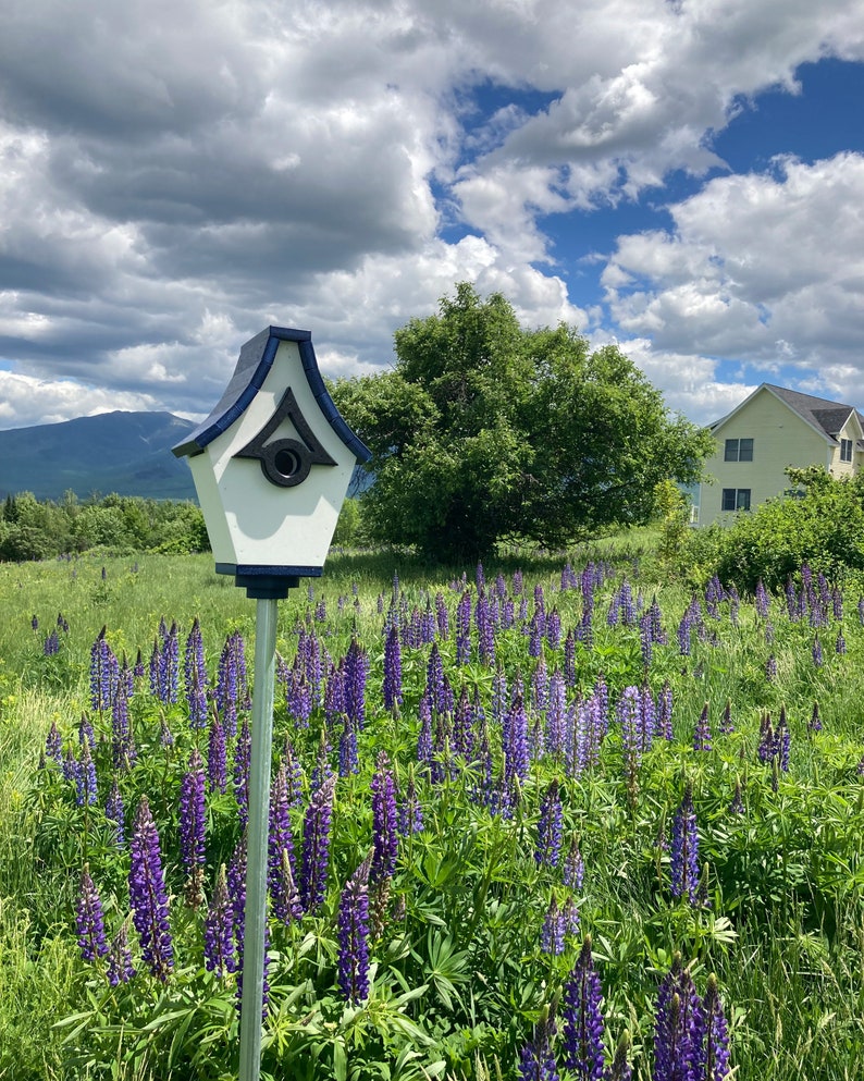 Regal Pole Mount Birdhouse White with Navy Roof image 8