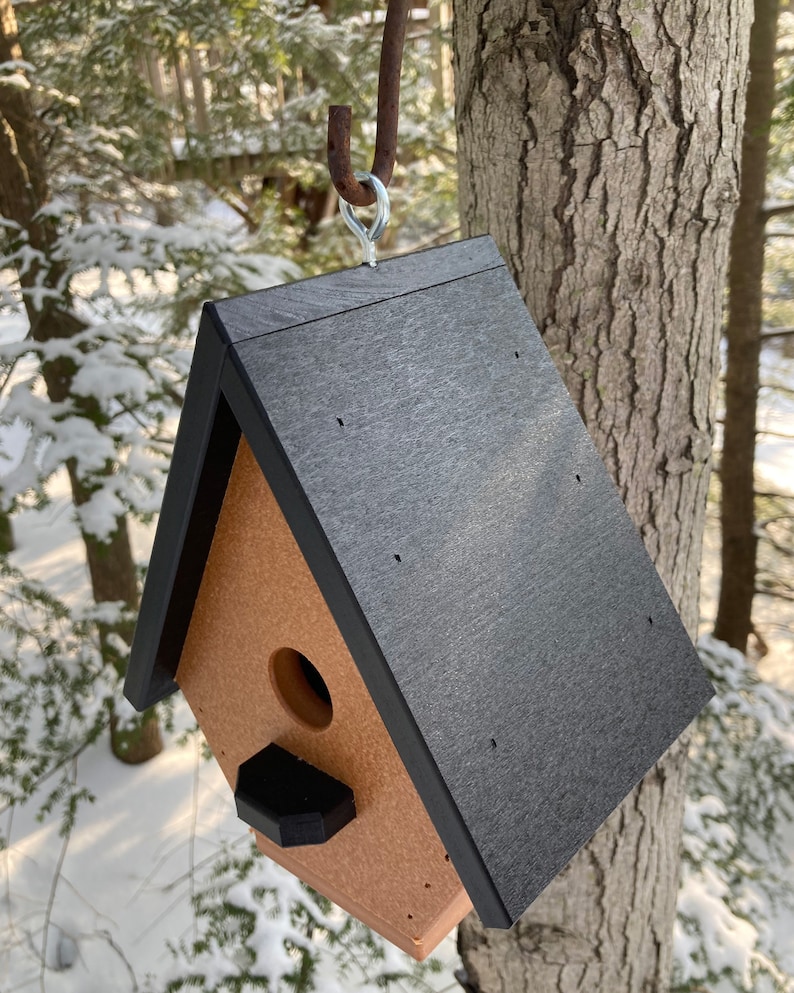 Classic Wren Poly Birdhouse, Cedar with Black Roof image 6