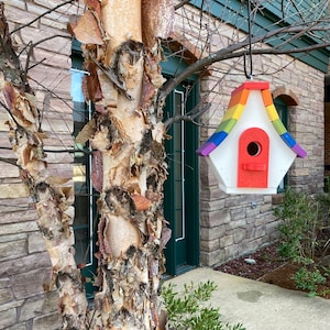 May include: A rainbow-colored birdhouse with a white roof and red entrance hole hangs from a tree branch in front of a brick building.