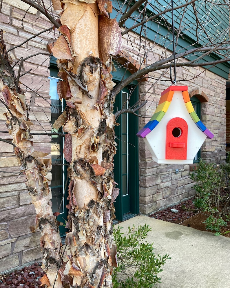 May include: A rainbow-colored birdhouse with a white roof and red entrance hole hangs from a tree branch in front of a brick building.