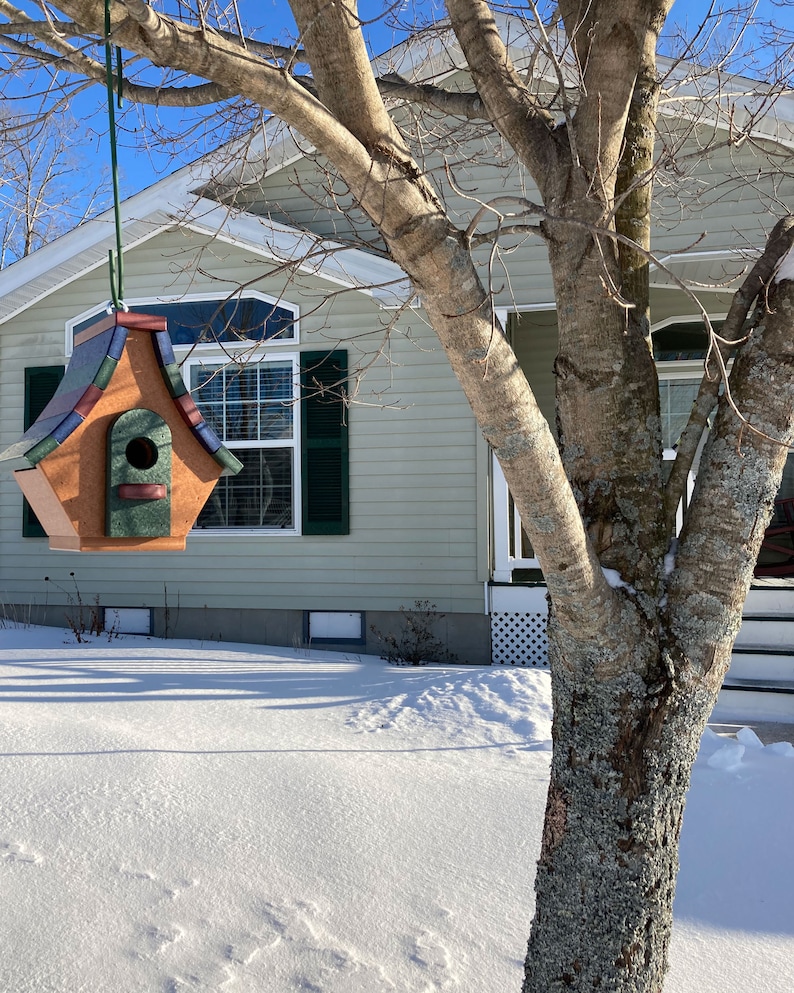 Op de afbeelding: Een kleurrijk vogelhuisje met een groen dak en een bruine basis hangt aan een tak van een boom voor een huis met een raam. Het huis is bedekt met sneeuw.