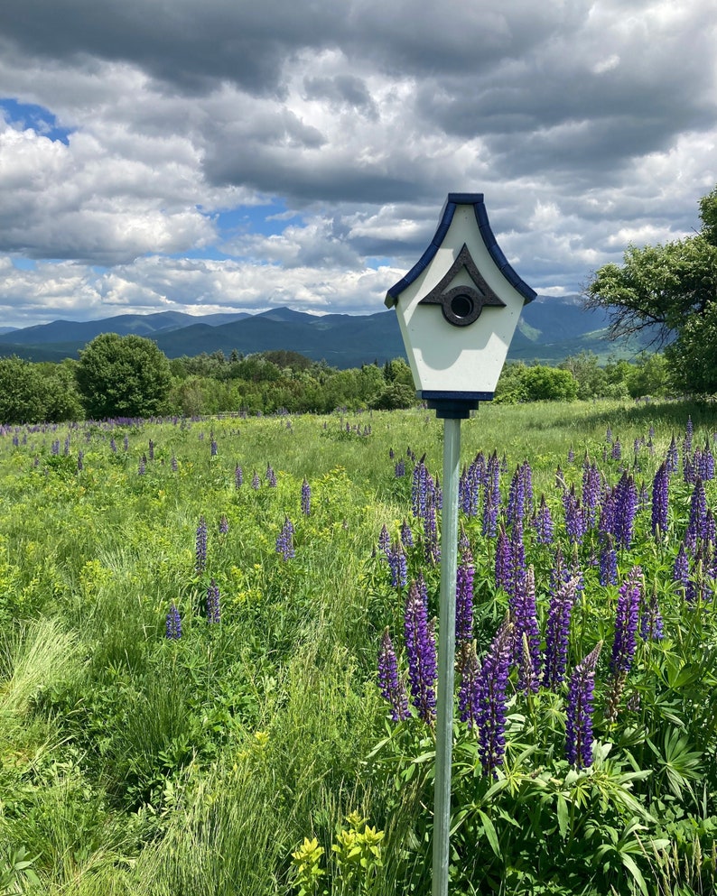 Regal Pole Mount Birdhouse White with Navy Roof image 5