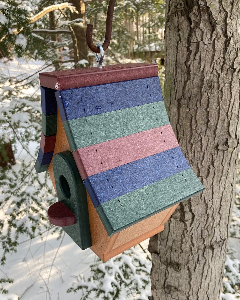 Op de afbeelding: Een kleurrijk vogelhuisje met een meerkleurig gestreept dak, een klein toegangsgat en een zitstok. Het vogelhuisje hangt aan een tak.