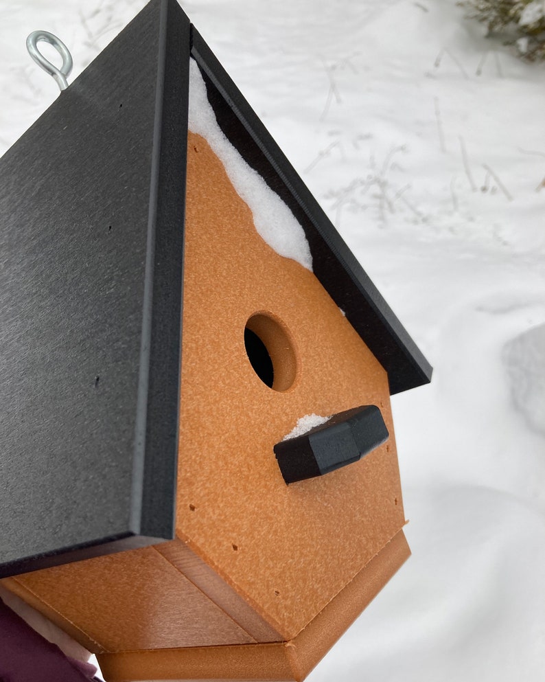 Classic Wren Poly Birdhouse, Cedar with Black Roof image 4