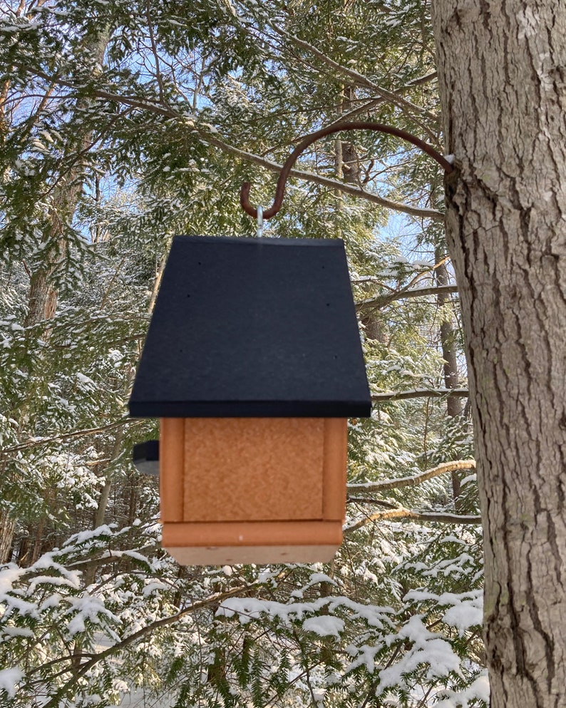 Classic Wren Poly Birdhouse, Cedar with Black Roof image 10