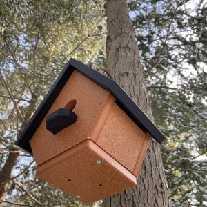 Classic Wren Poly Birdhouse, Cedar with Black Roof image 9