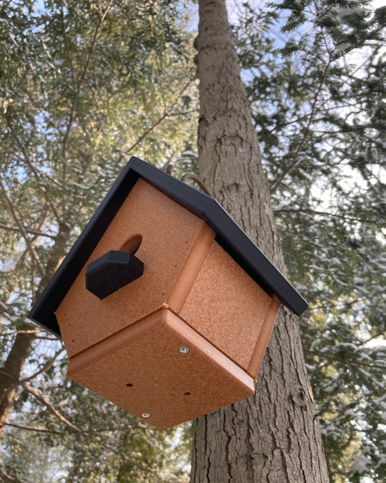 Classic Wren Poly Birdhouse, Cedar with Black Roof image 9