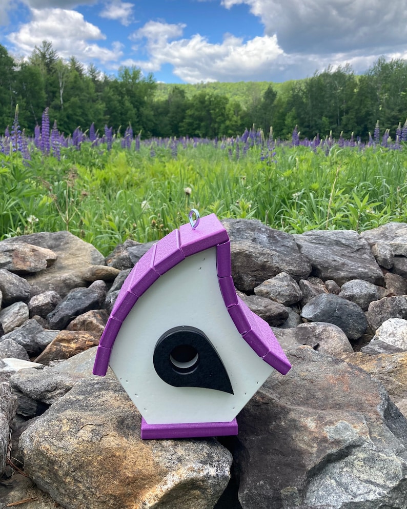 Purple garden and outdoor - purple and white bird house