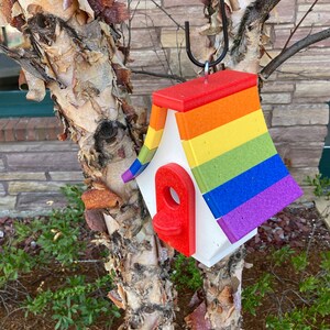 May include: A rainbow-colored birdhouse with a red entrance hole, hanging from a tree branch.