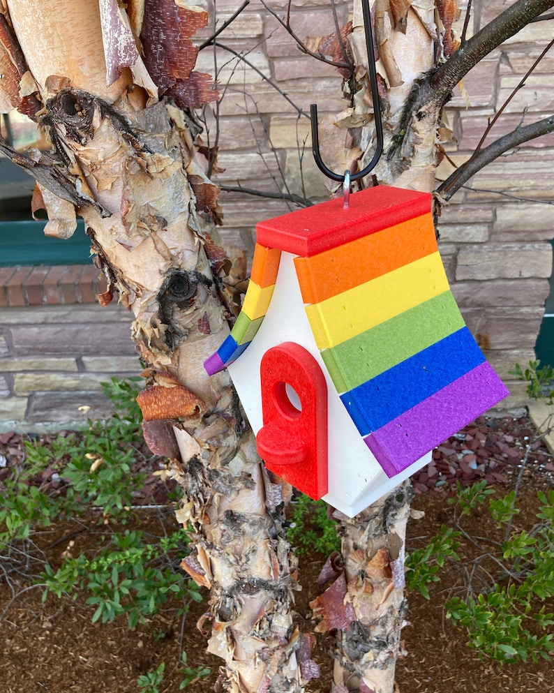 May include: A rainbow-colored birdhouse with a red entrance hole, hanging from a tree branch.
