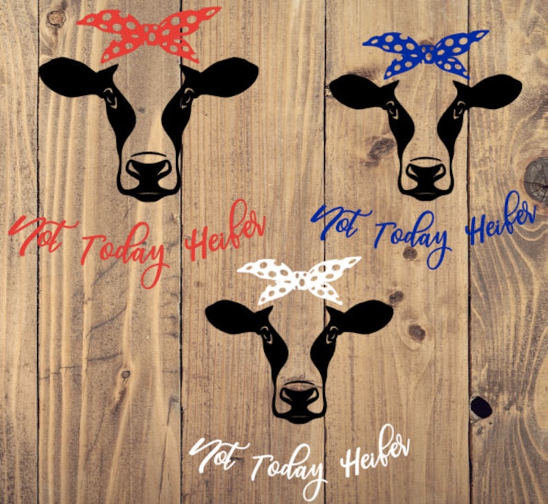 Cow with Bandana Not today Heifer