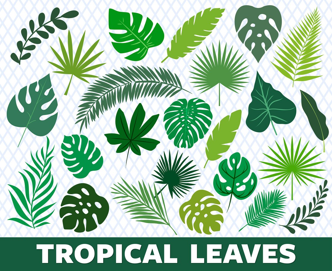 Tropical Leaves Svg Monstera Svg Palm Leaves Svg Jungle Leaf Svg ...