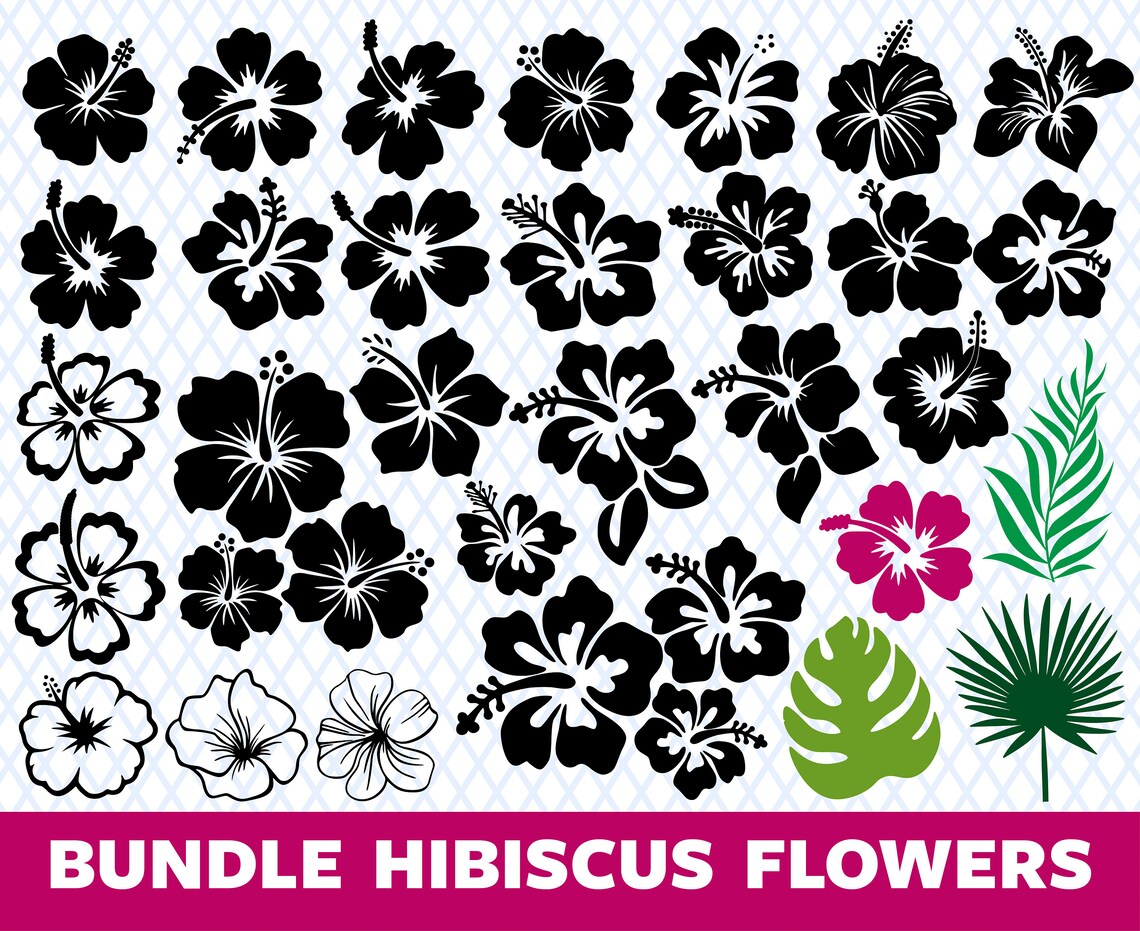 Hibiscus Flower Svg Png Cricut Hibiscus Flower Hibiscus Flower - Etsy
