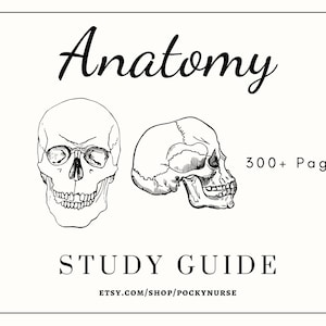 Anatomy Study Guide Workbook for Pre-Nursing Students | Over 300+ PDF Pages! (Digital Download)