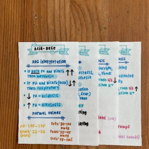 Acid Base ABGs & Electrolytes Flashcards (PDF Digital) | Nursing Study Cards