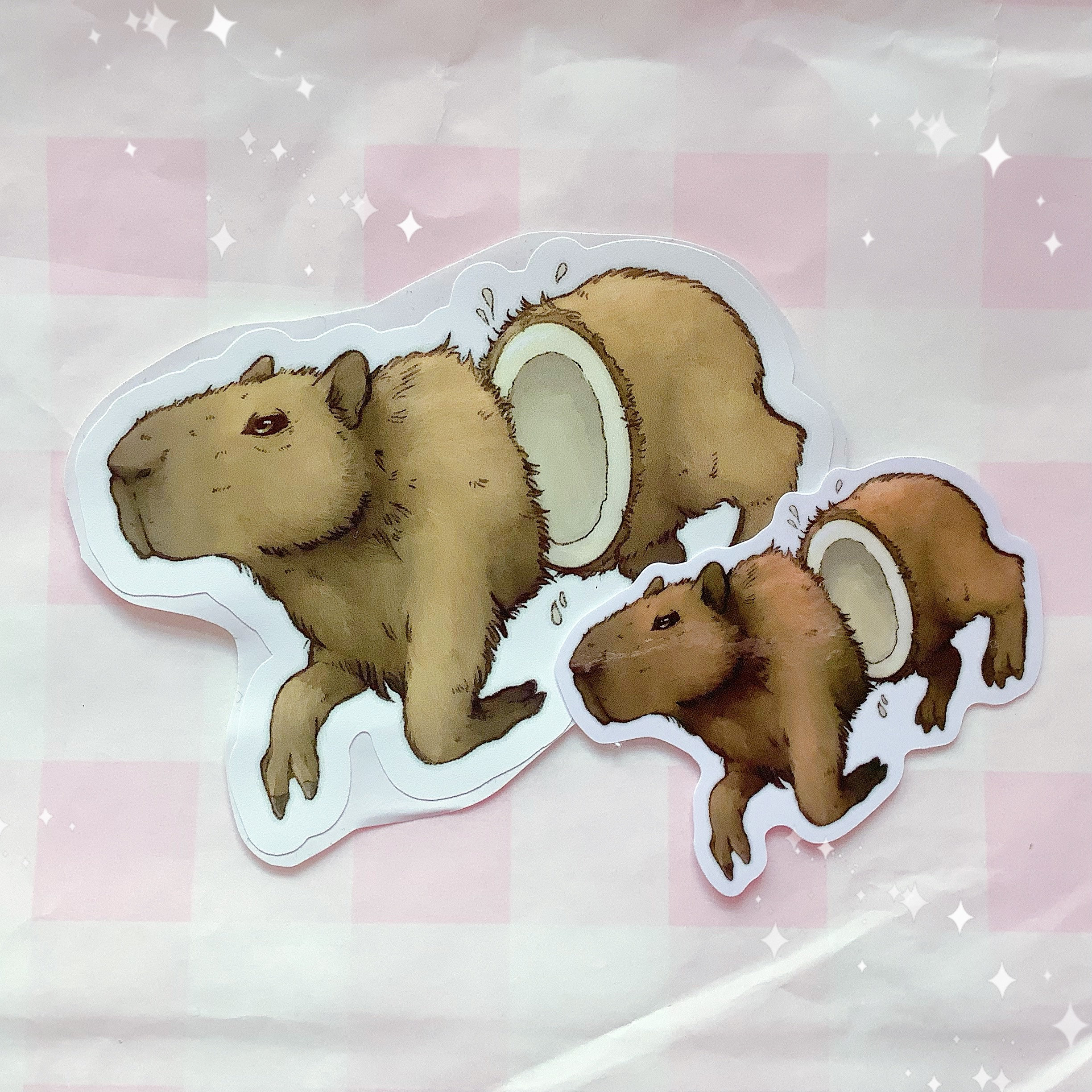 Coconut Dog Capybara Vinyl Sticker Etsy UK