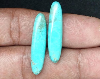 May include: Two oval-shaped turquoise cabochons, each with a light blue color and a slightly mottled pattern. The stones are approximately 2.5 cm long and 1 cm wide.