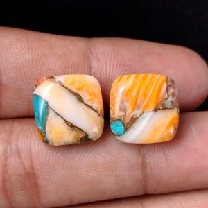 Spiny Oyster Türkis Cabochon: Edelstein zur Schmuckherstellung (14 x 14 mm)