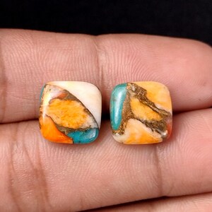 Spiny Oyster Kupfer Türkis Cabochons: Kissen Briolette Paar, 12 mm