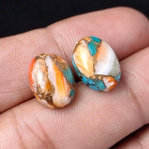 Ovales Spiny Oyster Cabochon Paar: Edelstein Kupfer Türkis (10 x 14 MM)