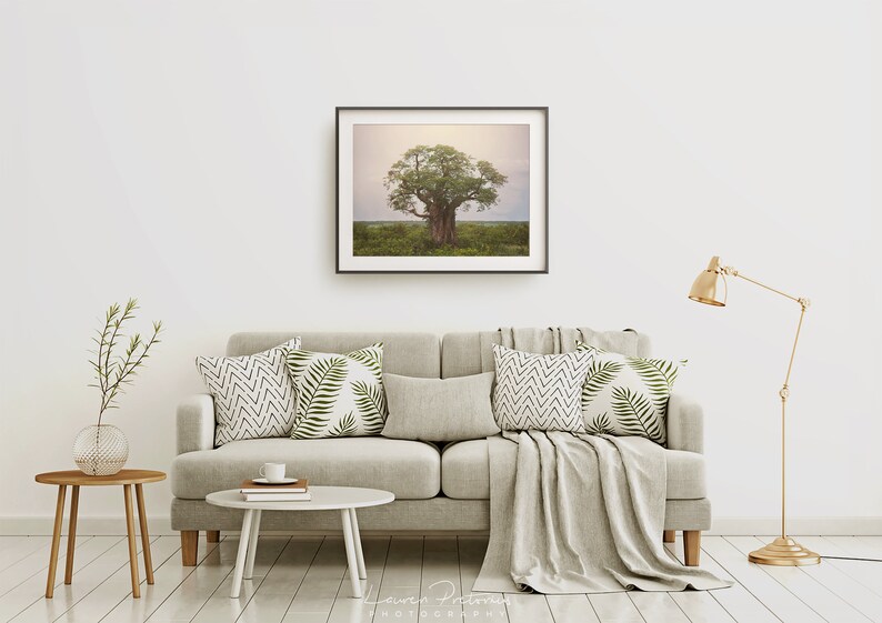 Nature Wall Art Tree Nature Photo Print Landscape Photography Lauren Pretorius Photography African Baobab Tree 343