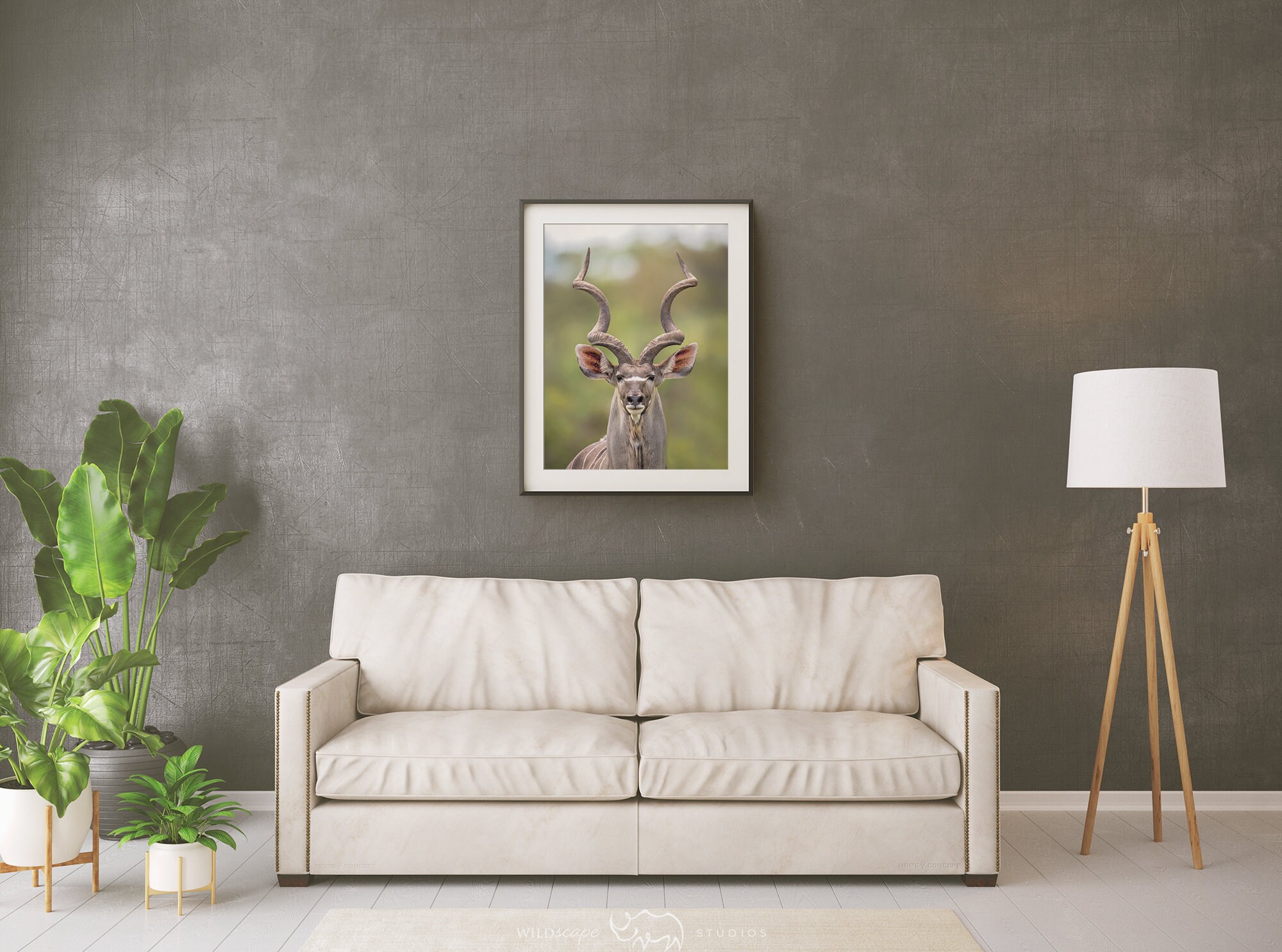 Kudu Antelope Wildlife Photography Animal Photo Print | Etsy