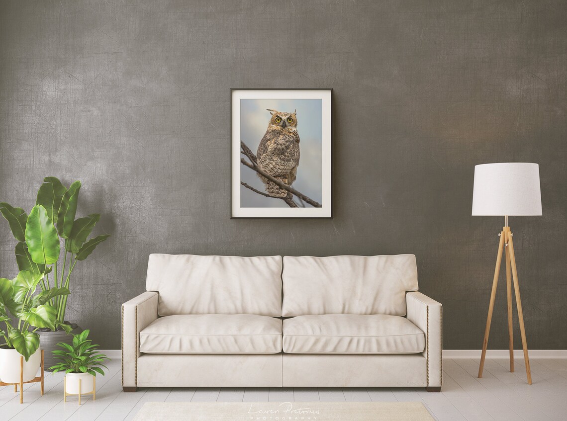 Great Horned Owl Wildlife Photography Bird Animal Photo - Etsy