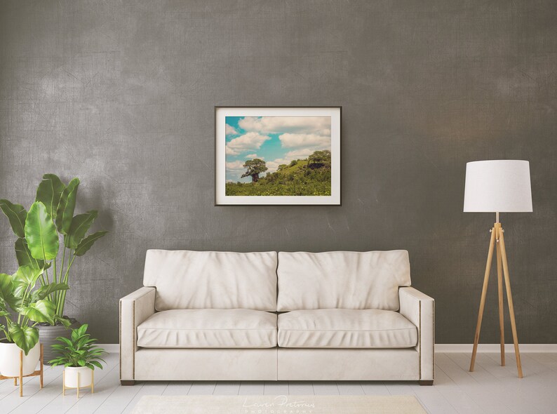 Nature Wall Art Tree Nature Photo Print Landscape Photography Lauren Pretorius Photography African Baobab Tree 343