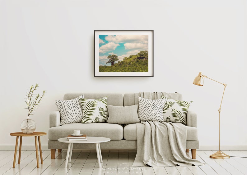 Nature Wall Art Tree Nature Photo Print Landscape Photography Lauren Pretorius Photography African Baobab Tree 343