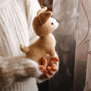 Peut inclure: Une personne tenant un jouet de chien en crochet marron et blanc. Le jouet a des yeux noirs et un nez brun.