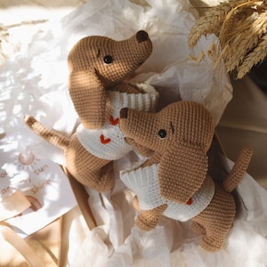 Zwillinge Geschenk Dachshund Spielzeug Stofftier Schwangerschaft Glückwünsche Geschenk-Box Erwartet für eine Zwillinge Korb Rassel Zwillinge Tier Kinderzimmer Dekor