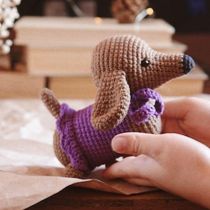 Brown dachshund dog in a miniature dress as a gift for a  baby girl. Dachshund dog in a small sweater.
