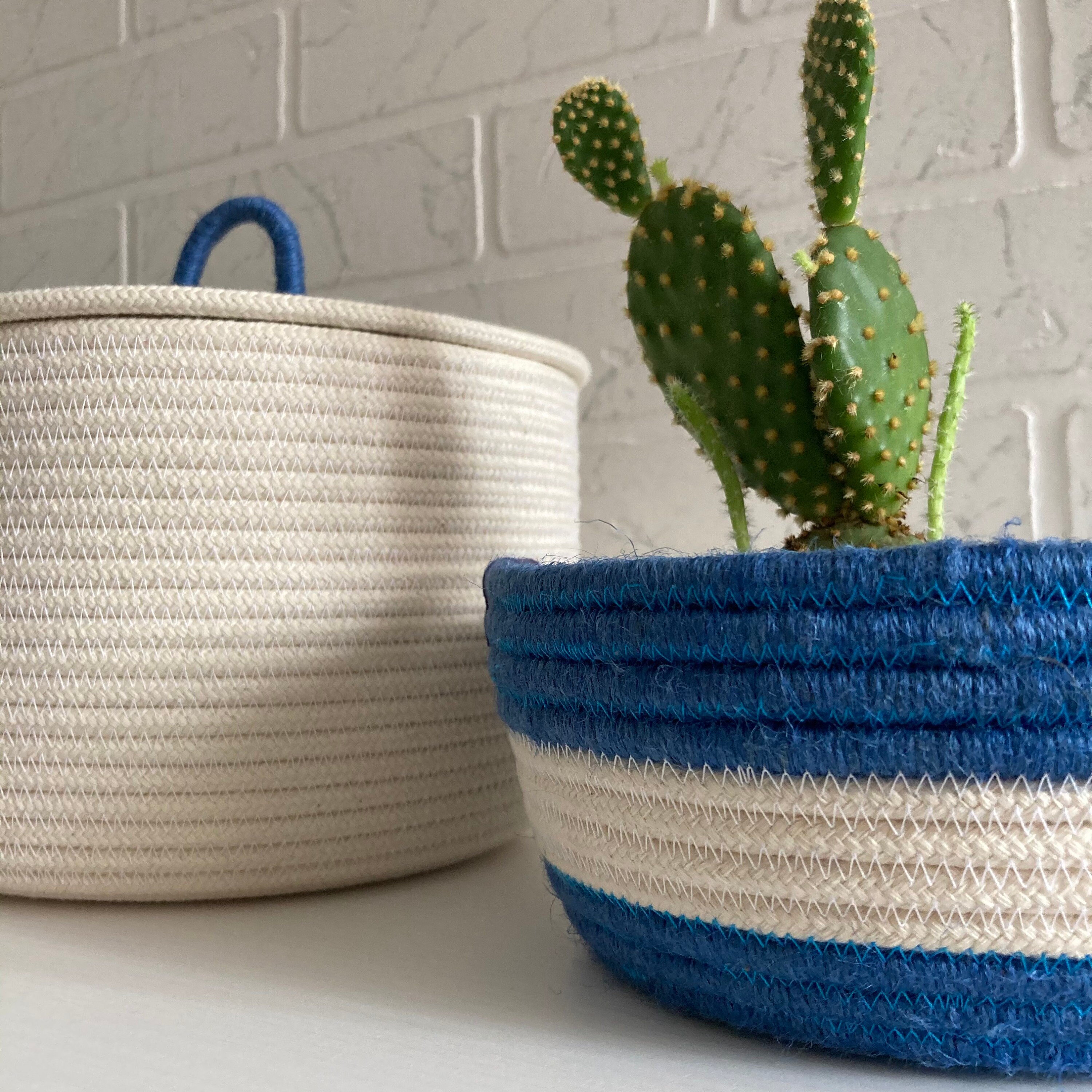 BlueWhite rope basket with lid Rope bowl Set of 2 Etsy