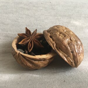Besamim Halter Räucherstäbchenbox aus echter Walnussschale für Havdalah Ritual Original handgefertigtes authentisches Dekorationsstück Shabbat Geschenk
