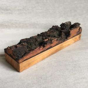 Home Blessing Mezuzah Case Holder Bait Natural Apricot Reclaimed Log Wood Tree Judaica Contemporary  Original Decor Housewarming Gift