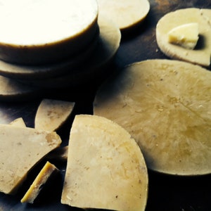 May include: A close-up of several round pieces of beeswax, some whole and some broken into pieces. The beeswax is a light yellow colour and has a smooth, waxy texture.