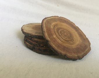 Thin Mini Slice Wood Coasters Set of 6 Rustic Natural Log Wooden Farmhouse Table Decor in Office Dinning Kitchen Room Tu B'shvat Gift